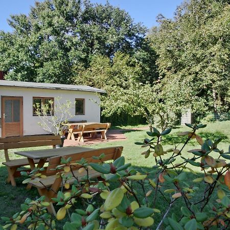 Strandstrasse 60 Ferienwohnung S12 Graal-Mueritz Exterior foto